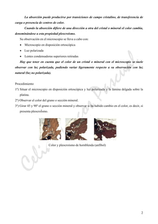 CeliaMarcosPascual
2
La absorción puede producirse por transiciones de campo cristalino, de transferencia de
carga o presencia de centros de color.
Cuando la absorción difiere de una dirección a otra del cristal o mineral el color cambia,
denominándose a esta propiedad pleocroismo.
Su observación en el microscopio se lleva a cabo con:
• Microscopio en disposición ortoscópica
• Luz polarizada
• Lentes condensadoras superiores retiradas
Hay que tener en cuenta que el color de un cristal o mineral con el microscopio se suele
observar con luz polarizada, pudiendo variar ligeramente respecto a su observación con luz
natural (luz no polarizada).
Procedimiento
1º) Situar el microscopio en disposición ortoscópica y luz polarizada y la lámina delgada sobre la
platina.
2º) Observar el color del grano o sección mineral.
3º) Girar 45 y 90º el grano o sección mineral y observar si ha habido cambio en el color, es decir, si
presenta pleocroÍsmo.
Color y pleocroísmo de hornblenda (anfíbol)
 