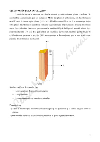 CeliaMarcosPascual
4
OBSERVACIÓN DE LA EXFOLIACIÓN
La exfoliación es la rotura de un cristal o mineral por determinados planos cristalinos. Se
acostumbra a denominarla por los índices de Miller del plano de exfoliación, así, la exfoliación
octaédrica es la rotura según planos (111), la exfoliación romboédrica, etc. Las marcas que dejan
estos planos de exfoliación cuando se corta una sección mineral perpendicular a ellos se denominan
trazas de exfoliación. Las trazas que muestra la sección (110) de la Figura 1 son del mismo tipo,
paralelas al plano 110, y se dice que forman un sistema de exfoliación, mientras que las trazas de
exfoliación que presenta la sección (001) corresponden a dos conjuntos por lo que se dice que
presenta dos sistemas de exfoliación.
Figura 1
Su observación se lleva a cabo con:
• Microscopio en disposición ortoscópica
• Luz polarizada
• Lentes condensadoras superiores retiradas
Procedimiento
1º) Situar el microscopio en disposición ortoscópica y luz polarizada y la lámina delgada sobre la
platina.
2º) Observar las trazas de exfoliación que presentan el grano o granos minerales.
 