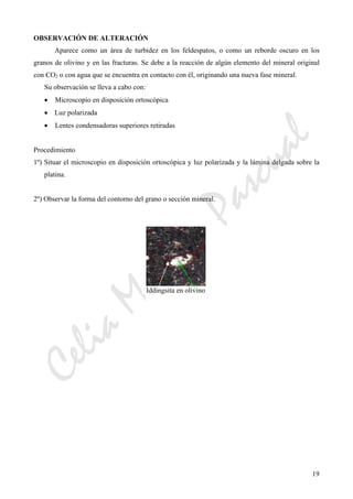 CeliaMarcosPascual
19
OBSERVACIÓN DE ALTERACIÓN
Aparece como un área de turbidez en los feldespatos, o como un reborde oscuro en los
granos de olivino y en las fracturas. Se debe a la reacción de algún elemento del mineral original
con CO2 o con agua que se encuentra en contacto con él, originando una nueva fase mineral.
Su observación se lleva a cabo con:
• Microscopio en disposición ortoscópica
• Luz polarizada
• Lentes condensadoras superiores retiradas
Procedimiento
1º) Situar el microscopio en disposición ortoscópica y luz polarizada y la lámina delgada sobre la
platina.
2º) Observar la forma del contorno del grano o sección mineral.
Iddingsita en olivino
 