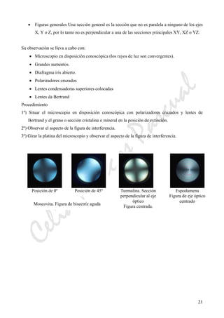CeliaMarcosPascual
21
• Figuras generales Una sección general es la sección que no es paralela a ninguno de los ejes
X, Y o Z, por lo tanto no es perpendicular a una de las secciones principales XY, XZ o YZ.
Su observación se lleva a cabo con:
• Microscopio en disposición conoscópica (los rayos de luz son convergentes).
• Grandes aumentos.
• Diafragma iris abierto.
• Polarizadores cruzados
• Lentes condensadoras superiores colocadas
• Lentes da Bertrand
Procedimiento
1º) Situar el microscopio en disposición conoscópica con polarizadores cruzados y lentes de
Bertrand y el grano o sección cristalina o mineral en la posición de extinción.
2º) Observar el aspecto de la figura de interferencia.
3º) Girar la platina del microscopio y observar el aspecto de la figura de interferencia.
Posición de 0º Posición de 45º
Moscovita. Figura de bisectríz aguda
Turmalina. Sección
perpendicular al eje
óptico
Figura centrada.
Espodumena
Figura de eje óptico
centrado
 