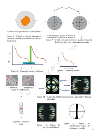 CeliaMarcosPascual
9
A
A
Figura 11.- Extinción
recta
n
λ
Figura 9.- Dispersión normal
n
λ
visible
n
λ
visible
Figura 8.- Dispersión normal y anómala
P P
P polarizador cuya dirección de vibración es
Figura 6.- Cristal o mineral isótropo o
cualquier sección de él observado con un
polarizador.
Figura 7.- Cristal o mineral isótropo o cualquier sección
de él observado con polarizadores cruzados
1 sistema 2 sistemas
Figura 10.- Exfoliación
Figura 12.- Figura de interferencia uniáxica (izquierda) y biáxica
(derecha)
Figura 13.- Figura de
interferencia biáxica
Figura 14.- Figura de
interferencia biáxica de
eje óptico centrado
 