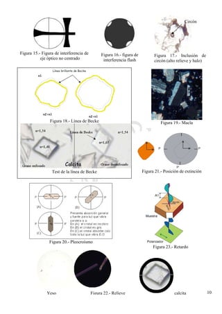 CeliaMarcosPascual
10
Figura 23.- Retardo
Figura 15.- Figura de interferencia de
eje óptico no centrado
Figura 16.- figura de
interferencia flash
Figura 17.- Inclusión de
circón (alto relieve y halo)
Circón
Línea brillante de Becke
n2<n1
n2>n1
n1
Figura 18.- Línea de Becke
Test de la línea de Becke
Figura 20.- Pleocroísmo
Figura 19.- Macla
P P
P’
P P
P’
Figura 21.- Posición de extinción
Figura 22.- RelieveYeso calcita
 