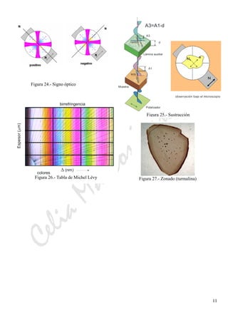 CeliaMarcosPascual
11
Figura 24.- Signo óptico
A3
d
A1
Polarizador
Muestra
Lámina auxiliar
A3=A1-d
rápido
rápido
Lento
lento
N
N n
N
N n
observación bajo el microscopio
Figura 25.- Sustracción
Espesor(μm)
Δ (nm)
colores
birrefringencia
Espesor(μm)
Δ (nm)
colores
birrefringencia
Figura 26.- Tabla de Michel Lévy Figura 27.- Zonado (turmalina)
 