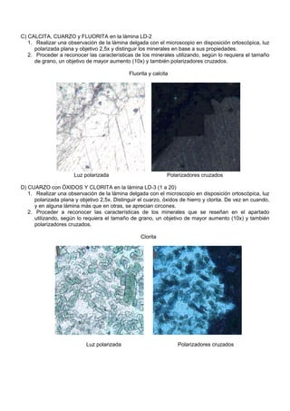 C) CALCITA, CUARZO y FLUORITA en la lámina LD-2
1. Realizar una observación de la lámina delgada con el microscopio en disposición ortoscópica, luz
polarizada plana y objetivo 2,5x y distinguir los minerales en base a sus propiedades.
2. Proceder a reconocer las características de los minerales utilizando, según lo requiera el tamaño
de grano, un objetivo de mayor aumento (10x) y también polarizadores cruzados.
Fluorita y calcita
Luz polarizada Polarizadores cruzados
D) CUARZO con ÓXIDOS Y CLORITA en la lámina LD-3 (1 a 20)
1. Realizar una observación de la lámina delgada con el microscopio en disposición ortoscópica, luz
polarizada plana y objetivo 2,5x. Distinguir el cuarzo, óxidos de hierro y clorita. De vez en cuando,
y en alguna lámina más que en otras, se aprecian circones.
2. Proceder a reconocer las características de los minerales que se reseñan en el apartado
utilizando, según lo requiera el tamaño de grano, un objetivo de mayor aumento (10x) y también
polarizadores cruzados.
Clorita
Luz polarizada Polarizadores cruzados
 
