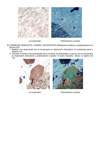 Luz polarizada Polarizadores cruzados
B) TURMALINA, MOSCOVITA, CUARZO y FELDESPATOS (feldespatos potásicos y plagioclasas) en la
lámina LD-5.
1. Realizar una observación con el microscopio en disposición ortoscópica, luz polarizada plana y
objetivo 2,5x.
2. Proceder a observar las propiedades de la turmalina, los feldespatos y cuarzos con el microscopio
en disposición ortoscópica y polarizadores cruzados. Si fuera necesario, utilizar un objetivo de
10x.
Luz polarizada Polarizadores cruzados
 
