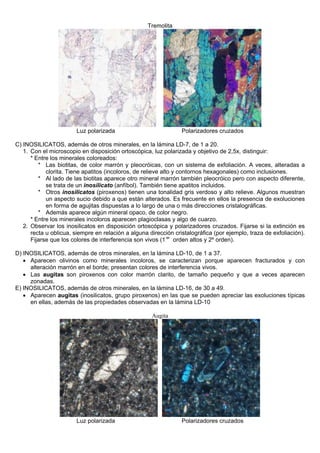 Tremolita
Luz polarizada Polarizadores cruzados
C) INOSILICATOS, además de otros minerales, en la lámina LD-7, de 1 a 20.
1. Con el microscopio en disposición ortoscópica, luz polarizada y objetivo de 2,5x, distinguir:
* Entre los minerales coloreados:
* Las biotitas, de color marrón y pleocróicas, con un sistema de exfoliación. A veces, alteradas a
clorita. Tiene apatitos (incoloros, de relieve alto y contornos hexagonales) como inclusiones.
* Al lado de las biotitas aparece otro mineral marrón también pleocróico pero con aspecto diferente,
se trata de un inosilicato (anfíbol). También tiene apatitos incluidos.
* Otros inosilicatos (piroxenos) tienen una tonalidad gris verdoso y alto relieve. Algunos muestran
un aspecto sucio debido a que están alterados. Es frecuente en ellos la presencia de exoluciones
en forma de agujitas dispuestas a lo largo de una o más direcciones cristalográficas.
* Además aparece algún mineral opaco, de color negro.
* Entre los minerales incoloros aparecen plagioclasas y algo de cuarzo.
2. Observar los inosilicatos en disposición ortoscópica y polarizadores cruzados. Fijarse si la extinción es
recta u oblicua, siempre en relación a alguna dirección cristalográfica (por ejemplo, traza de exfoliación).
Fijarse que los colores de interferencia son vivos (1 er
orden altos y 2º orden).
D) INOSILICATOS, además de otros minerales, en la lámina LD-10, de 1 a 37.
• Aparecen olivinos como minerales incoloros, se caracterizan porque aparecen fracturados y con
alteración marrón en el borde; presentan colores de interferencia vivos.
• Las augitas son piroxenos con color marrón clarito, de tamaño pequeño y que a veces aparecen
zonadas.
E) INOSILICATOS, además de otros minerales, en la lámina LD-16, de 30 a 49.
• Aparecen augitas (inosilicatos, grupo piroxenos) en las que se pueden apreciar las exoluciones típicas
en ellas, además de las propiedades observadas en la lámina LD-10
Augita
Luz polarizada Polarizadores cruzados
 