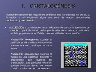 <ul><li>CRISTALOGÉNESIS </li></ul>Independientemente del mecanismo ambiental que ha originado un cristal, su formación o  ...