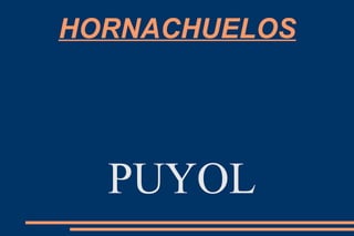 HORNACHUELOS




  PUYOL
 