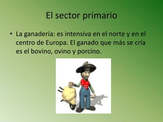 El sector primario
• La ganadería: es intensiva en el norte y en el
  centro de Europa. El ganado que más se cría
  es el bovino, ovino y porcino.
 