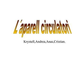 L´aparell circulatori Krystell,Andrea,Anas,Cristian. 