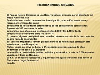 HISTORIA PARQUE CHICAQUEEl Parque Natural Chicaque es una Reserva Natural emanada por el Ministerio del Medio Ambiente. Sus finalidades son las de conservación, investigación, educación, ecoturismo y recreación; enmarcadas en un ecosistema de flora y fauna característico de los contrafuertes cordilleranos. Reserva de 300 hectáreas de selva sub-andina, con alturas que oscilan entre los 2.000 y los 2.700 mts. Su temperatura se encuentra entre los 11° y 17° C, que con algunas precipitaciones casuales como consecuencia de las corrientes de aire húmedo ascendentes del valle del Magdalena, forman grandes bancos de neblina que catalogan este ecosistema como Bosque de Niebla. Lugar que sirve de hogar a 214 especies de aves, algunas de ellas endémicas de la zona, a 20 especies de mamíferos, variedad de reptiles, anfibios y artrópodos; a más de 3.000 especies vegetales, 7 tipos de Bosques, 20 Km. de senderos ecológicos y 3 quebradas de aguas cristalinas que hacen de Chicaque un lugar único en el mundo.