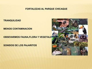 FORTALEZAS AL PARQUE CHICAQUETRANQUILIDADMENOS CONTAMINACIONOBSEVARMOS FAUNA,FLORA Y VEGETALESSONIDOS DE LOS PAJARITOS