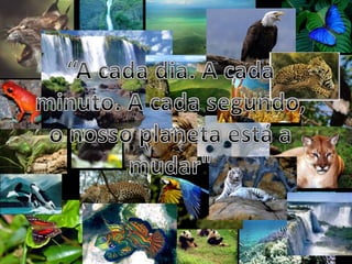 “A cada dia. A cada minuto. A cada segundo, o nosso planeta está a mudar"