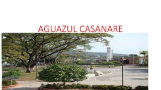 AGUAZUL CASANARE
 