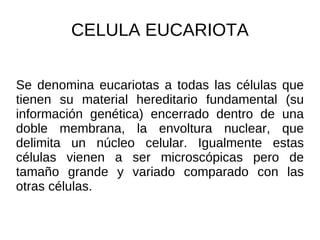 CELULA EUCARIOTA Se denomina eucariotas a todas las células que tienen su material hereditario fundamental (su información genética) encerrado dentro de una doble membrana, la envoltura nuclear, que delimita un núcleo celular. Igualmente estas células vienen a ser microscópicas pero de tamaño grande y variado comparado con las otras células. 