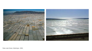 Fotos: Lazer Horser. Sickchirpse – 2015.
 