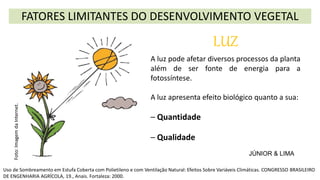 FATORES LIMITANTES DO DESENVOLVIMENTO VEGETAL
Uso de Sombreamento em Estufa Coberta com Polietileno e com Ventilação Natural: Efeitos Sobre Variáveis Climáticas. CONGRESSO BRASILEIRO
DE ENGENHARIA AGRÍCOLA, 19., Anais. Fortaleza: 2000.
LUZ
A luz pode afetar diversos processos da planta
além de ser fonte de energia para a
fotossíntese.
A luz apresenta efeito biológico quanto a sua:
– Quantidade
– Qualidade
JÚNIOR & LIMA
Foto:
Imagem
da
Internet.
 