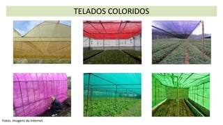 TELADOS COLORIDOS
Fotos: Imagens da Internet.
 