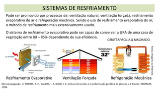 Resfriamento Evaporativo Refrigeração Mecânica
Ventilação Forçada
SISTEMAS DE RESFRIAMENTO
Pode ser promovido por processos de: ventilação natural, ventilação forçada, resfriamento
evaporativo do ar e refrigeração mecânica. Sendo o uso de resfriamento evaporativo do ar,
o método de resfriamento mais extensivamente usado.
O sistema de resfriamento evaporativo pode ser capaz de conservar a URA de uma casa de
vegetação entre 80 – 85% dependendo de sua eficiência.
GRATTAPAGLIA & MACHADO
Micropropagação. In: TORRES, A. C.; CALDAS, L. S; BUSO, J. A. Cultura de tecidos e transformação genética de plantas, v.1 Brasília: EMBRAPA.
1998.
Fotos:
Imagens
da
Internet.
 