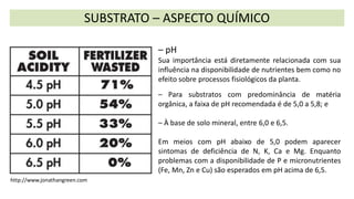 SUBSTRATO – ASPECTO QUÍMICO
– pH
Sua importância está diretamente relacionada com sua
influência na disponibilidade de nutrientes bem como no
efeito sobre processos fisiológicos da planta.
– Para substratos com predominância de matéria
orgânica, a faixa de pH recomendada é de 5,0 a 5,8; e
– À base de solo mineral, entre 6,0 e 6,5.
Em meios com pH abaixo de 5,0 podem aparecer
sintomas de deficiência de N, K, Ca e Mg. Enquanto
problemas com a disponibilidade de P e micronutrientes
(Fe, Mn, Zn e Cu) são esperados em pH acima de 6,5.
http://www.jonathangreen.com
 