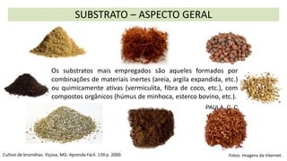 SUBSTRATO – ASPECTO GERAL
Os substratos mais empregados são aqueles formados por
combinações de materiais inertes (areia, argila expandida, etc.)
ou quimicamente ativas (vermiculita, fibra de coco, etc.), com
compostos orgânicos (húmus de minhoca, esterco bovino, etc.).
PAULA, C. C.
Cultivo de bromélias. Viçosa, MG: Aprenda Fácil. 139 p. 2000. Fotos: Imagens da Internet.
 
