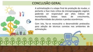 CONCLUSÃO GERAL
A aclimatização é a etapa final da produção de mudas, e
portanto a fase mais crítica da micropropagação vegetal,
podendo ser responsável por altos índices de
mortalidade, baixas taxas de crescimento,
desuniformidade das plantas e perdas econômicas.
Com isto, faz-se necessário o desenvolvido protocolos
para adoção de técnicas corretas nos ambientes de
aclimatação.
 