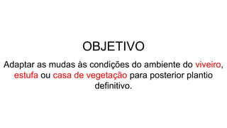 Adaptar as mudas às condições do ambiente do viveiro,
estufa ou casa de vegetação para posterior plantio
definitivo.
OBJETIVO
 