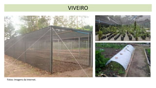 VIVEIRO
Fotos: Imagens da Internet.
 