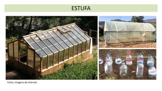 ESTUFA
Fotos: Imagens da Internet.
 