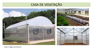 CASA DE VEGETAÇÃO
Fotos: Imagens da Internet.
 
