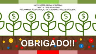 P
N
OBRIGADO!! K
UNIVERSIDADE FEDERAL DE ALAGOAS
CENTRO DE CIÊNCIAS AGRÁRIAS
PROGRAMA DE PÓS GRADUAÇÃO EM AGRONOMIA “PRODUÇÃO VEGETAL”
 