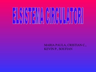 MARIA PAULA, CRISTIAN C., KEVIN P., SOUFIAN ELSISTEMA CIRCULATORI 