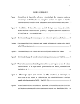 11
LISTA DE FIGURAS
Figura 1 - Conidióforo de Aspergillus ochraceus e terminologia das estruturas usadas na
classificação e identificação dos Aspergillus. Visíveis nas figuras as métulas
(células estéreis), fiálides (células conidiogenicas) e conídio (esporos assexuais)...25
Figura 2 - Conidióforos de Penicillium com penicilli do tipo mais simples (penicillus
monoverticilado vesiculado de P. glabrum) e complexo (penicillus terverticilado
de estipe liso de P. brevicompactum). ......................................................................27
Figura 3 - Estrutura do bagaço de cana-de-açúcar sem tratamento químico ou biológico........40
Figura 4 - Estrutura do bagaço de cana de açúcar tratado quimicamente com as bases NaOH
e Ca(OH)2 conjuntamente.........................................................................................40
Figura 5 – Estrutura do bagaço de cana de açúcar tratado quimicamente com NaOH ..............41
Figura 6 – Estrutura do bagaço de cana de açúcar tratado quimicamente com Ca(OH)2 ..........41
Figura 7 - Observação da colonização do fungo Penicillium sp. em bagaço de cana-de-açúcar
sem tratamento (a, b) e pré-tratado quimicamente com NaOH juntamente com
Ca(OH)2 (c, d, e).......................................................................................................44
Figura 8 - Microscopia óptica com aumento de 400X mostrando a colonização de
Penicillium sp. em bagaço de cana-de-açúcar sem tratamento químico (a) e pré-
tratado quimicamente com NaOH + Ca(OH)2 (b) ....................................................45
Figura 9 - Microscopia eletrônica de varredura mostrando a colonização de Penicillium sp.
em bagaço de cana-de-açúcar pré-tratado quimicamente com NaOH e Ca(OH)2. ..46
 