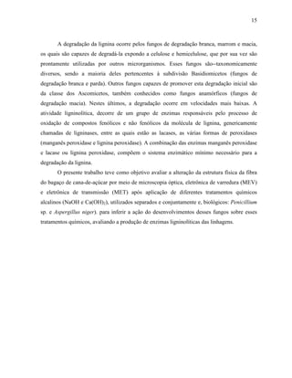 15
A degradação da lignina ocorre pelos fungos de degradação branca, marrom e macia,
os quais são capazes de degradá-la expondo a celulose e hemicelulose, que por sua vez são
prontamente utilizadas por outros microrganismos. Esses fungos são taxonomicamente
diversos, sendo a maioria deles pertencentes à subdivisão Basidiomicetos (fungos de
degradação branca e parda). Outros fungos capazes de promover esta degradação inicial são
da classe dos Ascomicetos, também conhecidos como fungos anamórficos (fungos de
degradação macia). Nestes últimos, a degradação ocorre em velocidades mais baixas. A
atividade ligninolítica, decorre de um grupo de enzimas responsáveis pelo processo de
oxidação de compostos fenólicos e não fenólicos da molécula de lignina, genericamente
chamadas de ligninases, entre as quais estão as lacases, as várias formas de peroxidases
(manganês peroxidase e lignina peroxidase). A combinação das enzimas manganês peroxidase
e lacase ou lignina peroxidase, compõem o sistema enzimático mínimo necessário para a
degradação da lignina.
O presente trabalho teve como objetivo avaliar a alteração da estrutura física da fibra
do bagaço de cana-de-açúcar por meio de microscopia óptica, eletrônica de varredura (MEV)
e eletrônica de transmissão (MET) após aplicação de diferentes tratamentos químicos
alcalinos (NaOH e Ca(OH)2), utilizados separados e conjuntamente e, biológicos: Penicillium
sp. e Aspergillus niger). para inferir a ação do desenvolvimentos desses fungos sobre esses
tratamentos químicos, avaliando a produção de enzimas ligninolíticas das linhagens.
 