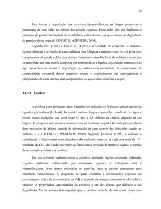 19
Para iniciar a degradação dos materiais lignocelulósicos, os fungos promovem a
penetração de suas hifas no lúmem das células vegetais. Essas hifas têm por finalidade a
produção de grande diversidade de metabólitos extracelulares, os quais atuam na degradação
da parede celular vegetal (ESPOSITO; AZEVEDO, 2004).
Segundo Puri (1984) e Fan et al. (1987) a dificuldade de converter os materiais
lignocelulósicos é atribuída às características morfológicas existentes entre os três principais
componentes da parede celular das plantas. Estruturas microfibrilares de celulose encontram-
se embebidas em uma matrix composta por hemicelulose e lignina, cuja função estrutural é de
agir como barreira natural à degradação enzimática e/ou microbiana. A compreensão da
complexidade estrutural desses materiais requer o conhecimento das características e
propriedades de cada um dos seus componentes, os quais serão descritos a seguir.
2.1.2.1 Celulose
A celulose é um polímero linear formado por unidades de D-glicose unidas através de
ligações glicosídicas β (1→4), formando cadeias longas e paralelas, insolúvel em água e
possui massa molecular que varia entre 50 mil e 2,5 milhões de Dalton, dependo da sua
origem. É composta por unidades monoméricas de celobiose, a qual é formada pela junção de
duas moléculas de glicose seguida da eliminação da água através das hidroxilas ligadas ao
carbono 1 e 4 (FENGEL; WEGENER, 1989). Segundo Leschine (1995), a celulose é
considerada o biopolímero mais abundante do ambiente terrestre. A cada ano mais de 1011
toneladas de CO2 são fixadas por meio da fotossíntese derivada de material vegetal, e metade
desse material consiste em celulose.
Em sua estrutura supramolecular a celulose apresenta regiões altamente ordenadas
(regiões cristalinas) estabilizadas por numerosas ligações de hidrogênio intra e
intermoleculares, áreas menos ordenadas ou amorfas, onde as cadeias apresentam uma
orientação randomizada. A proporção da parte cristalina é normalmente expressa em
porcentagem (índice de cristalinidade ou CrI) e depende da origem e processo de obtenção da
celulose. A propriedade semicristalina da celulose é um dos fatores que dificulta a sua
degradação. Vários autores têm sugerido que a celulose amorfa, devido a sua maior área
 