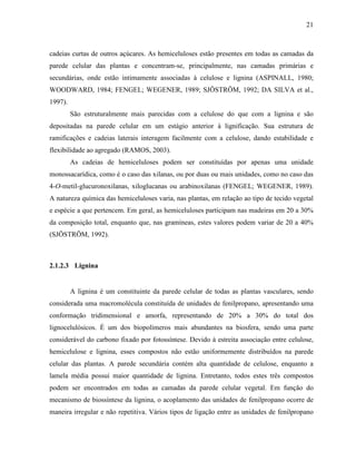 21
cadeias curtas de outros açúcares. As hemiceluloses estão presentes em todas as camadas da
parede celular das plantas e concentram-se, principalmente, nas camadas primárias e
secundárias, onde estão intimamente associadas à celulose e lignina (ASPINALL, 1980;
WOODWARD, 1984; FENGEL; WEGENER, 1989; SJÖSTRÖM, 1992; DA SILVA et al.,
1997).
São estruturalmente mais parecidas com a celulose do que com a lignina e são
depositadas na parede celular em um estágio anterior à lignificação. Sua estrutura de
ramificações e cadeias laterais interagem facilmente com a celulose, dando estabilidade e
flexibilidade ao agregado (RAMOS, 2003).
As cadeias de hemiceluloses podem ser constituídas por apenas uma unidade
monossacarídica, como é o caso das xilanas, ou por duas ou mais unidades, como no caso das
4-O-metil-glucuronoxilanas, xiloglucanas ou arabinoxilanas (FENGEL; WEGENER, 1989).
A natureza química das hemiceluloses varia, nas plantas, em relação ao tipo de tecido vegetal
e espécie a que pertencem. Em geral, as hemiceluloses participam nas madeiras em 20 a 30%
da composição total, enquanto que, nas gramíneas, estes valores podem variar de 20 a 40%
(SJÖSTRÖM, 1992).
2.1.2.3 Lignina
A lignina é um constituinte da parede celular de todas as plantas vasculares, sendo
considerada uma macromolécula constituída de unidades de fenilpropano, apresentando uma
conformação tridimensional e amorfa, representando de 20% a 30% do total dos
lignocelulósicos. É um dos biopolímeros mais abundantes na biosfera, sendo uma parte
considerável do carbono fixado por fotossíntese. Devido à estreita associação entre celulose,
hemicelulose e lignina, esses compostos não estão uniformemente distribuídos na parede
celular das plantas. A parede secundária contém alta quantidade de celulose, enquanto a
lamela média possui maior quantidade de lignina. Entretanto, todos estes três compostos
podem ser encontrados em todas as camadas da parede celular vegetal. Em função do
mecanismo de biossíntese da lignina, o acoplamento das unidades de fenilpropano ocorre de
maneira irregular e não repetitiva. Vários tipos de ligação entre as unidades de fenilpropano
 