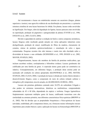 29
2.1.4.2 Lacases
Até recentemente a lacase era estabelecida somente em eucariotos (fungos, plantas
superiores e insetos), mas agora há evidência de sua distribuição em procariotos, e a primeira
estrutura cristalina de uma lacase bacteriana foi obtida. Em plantas, lacases estão envolvidas
na lignificação. Em fungos, além da degradação de lignina, lacases parecem estar envolvidas
na esporulação, produção de pigmentos e patogenicidade de plantas (YAVER et al., 1996,
ENGUITA et al., 2003, CLAUS, 2004).
Devido à capacidade de catalisar a oxidação de fenóis e outros compostos aromáticos,
lacases fúngicas estão recebendo grande atenção em várias aplicações industriais como
deslignificação, produção de etanol, modificação de fibras da madeira, clareamento de
corantes, síntese de produtos químicos/medicinais e remediação de solos e águas
contaminadas. Pesquisas recentes têm sido intensas e muito tem sido elucidado sobre a
diversidade de lacases e suas utilidades (SCHNEIDER et al., 1999, DURÁN et al., 2002,
MAYER; STAPLES, 2002).
Filogeneticamente, lacases são membros da família de proteínas multi-cobres, que
incluem ascorbato oxidase, ceruloplasmina e bilirrubina oxidases. Lacases geralmente são
codificadas por uma família de genes. A expressão destes genes pode ser constitutiva ou
indutiva. Conseqüentemente, em diferentes fungos, a produção desta enzima pode ser
acentuada sob condições de cultura apropriadas (KLONOWSKA et al., 2002, MAYER;
STAPLES, 2002, CLAUS, 2004). A produção de lacase é afetada por muitos fatores durante o
desenvolvimento fúngico, como a composição do meio de cultura (relação carbono e
nitrogênio), pH, temperatura, taxa de aeração, etc (KAHRAMAN; GURDAL, 2002).
Lacases são proteínas globulares contendo entre 10-25% de carboidrato N-ligado e
elas podem ter estruturas monoméricas, diméricas ou multiméricas, compreendendo
subunidades de 45 à 80 kDa, dependendo da espécie e isoforma. Fungos ligninolíticos
freqüentemente expressam múltiplos genes de lacase, codificando isoenzimas com alta
similaridade na estrutura primária, mas diferentes características físico-químicas (BROWN et
al., 2002). Não há dúvidas que as propriedades bioquímicas e físico-químicas de lacase
(atividade, estabilidade, pH e temperatura ótimos, etc.) fornecem muitas informações iniciais
importantes para estudos básicos e para a aplicação de lacases na biotecnologia (MOUGIN et
 