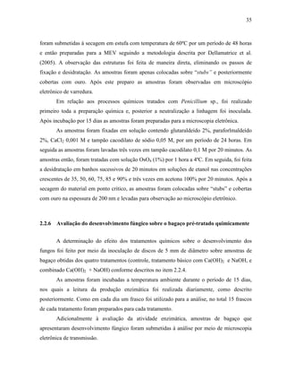 35
foram submetidas à secagem em estufa com temperatura de 60ºC por um período de 48 horas
e então preparadas para a MEV seguindo a metodologia descrita por Dellamatrice et al.
(2005). A observação das estruturas foi feita de maneira direta, eliminando os passos de
fixação e desidratação. As amostras foram apenas colocadas sobre “stubs” e posteriormente
cobertas com ouro. Após este preparo as amostras foram observadas em microscópio
eletrônico de varredura.
Em relação aos processos químicos tratados com Penicillium sp., foi realizado
primeiro toda a preparação química e, posterior a neutralização a linhagem foi inoculada.
Após incubação por 15 dias as amostras foram preparadas para a microscopia eletrônica.
As amostras foram fixadas em solução contendo glutaraldeído 2%, paraforlmaldeído
2%, CaCl2 0,001 M e tampão cacodilato de sódio 0,05 M, por um período de 24 horas. Em
seguida as amostras foram lavadas três vezes em tampão cacodilato 0,1 M por 20 minutos. As
amostras então, foram tratadas com solução OsO4 (1%) por 1 hora a 4ºC. Em seguida, foi feita
a desidratação em banhos sucessivos de 20 minutos em soluções de etanol nas concentrações
crescentes de 35, 50, 60, 75, 85 e 90% e três vezes em acetona 100% por 20 minutos. Após a
secagem do material em ponto critico, as amostras foram colocadas sobre “stubs” e cobertas
com ouro na espessura de 200 nm e levadas para observação ao microscópio eletrônico.
2.2.6 Avaliação do desenvolvimento fúngico sobre o bagaço pré-tratado quimicamente
A determinação do efeito dos tratamentos químicos sobre o desenvolvimento dos
fungos foi feito por meio da inoculação de discos de 5 mm de diâmetro sobre amostras de
bagaço obtidas dos quatro tratamentos (controle, tratamento básico com Ca(OH)2 e NaOH, e
combinado Ca(OH)2 + NaOH) conforme descritos no item 2.2.4.
As amostras foram incubadas a temperatura ambiente durante o período de 15 dias,
nos quais a leitura da produção enzimática foi realizada diariamente, como descrito
posteriormente. Como em cada dia um frasco foi utilizado para a análise, no total 15 frascos
de cada tratamento foram preparados para cada tratamento.
Adicionalmente à avaliação da atividade enzimática, amostras de bagaço que
apresentaram desenvolvimento fúngico foram submetidas à análise por meio de microscopia
eletrônica de transmissão.
 