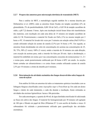 36
2.2.7 Preparo das amostras para microscopia eletrônica de transmissão (MET)
Para a análise de MET, a metodologia seguida também foi a mesma descrita por
Dellamatrice et al. (2005); onde as amostras foram fixadas em tampão cacodilato (2% de
glutaraldeído, 2% de paraforlmaldeído, 0,001 M de CaCl2 e 0,05 M de tampão cacodilato de
sódio, a pH 7,2) durante 3 horas. Após esta incubação inicial foram feitas três transferências
dos materiais, com incubação em cada uma delas de 15 minutos em tampão cacodilato de
sódio 0,1 M. Posteriormente o material foi fixado em OsO4 (1%) no mesmo tampão por 2
horas a 4ºC. O material foi lavado três vezes por 5 minutos em solução salina (NaCl 0,9%) e
corado utilizando solução de acetato de uranila (2,5%) por 16 horas a 4ºC. Em seguida, as
amostras foram desidratadas em série de concentrações de acetona nas concentrações de 25,
50, 75%, 90% (2 vezes), 100% (3 vezes), sendo a imersão de 10 minutos em cada diluição,
com exceção da acetona pura, onde a imersão foi feita por 20 min. Após a desidratação, o
material foi embebido em resina spurr nas concentrações crescentes de resina/acetona 1:1, 2:1
e resina pura, sendo posteriormente emblocado por 48 horas à 60ºC em estufa. As secções
foram cortadas em ultramicrótomo e os cortes foram corados utilizando acetato de uranila
2,5% por 10 minutos e citrato de chumbo por 6 minutos.
2.2.8 Determinação da atividade enzimática dos fungos desenvolvidos sobre bagaço de
cana-de-açúcar
Esta análise foi feita em amostras de todos os tratamentos químicos inoculados com as
linhagens fúngicas classificadas como Aspergillus niger e Penicillium sp. Em cada um destes
fungos e dentro de cada tratamento, a cada dia durante a incubação, foram estimadas as
atividades das enzimas ligninolíticas: lacase e Mn peroxidas.
Em cada amostragem, a quantia de 40 mL de água destilada esterilizada foi adicionada
ao frasco de cultivo dos fungos. O material foi homogeneizado por 30 minutos sob agitação
de 180 rpm e filtrado em papel de filtro (Whatman Nº 1) com auxílio de bomba a vácuo. O
sobrenadante foi coletado e posteriormente utilizado para quantificação das atividades
enzimáticas.
 
