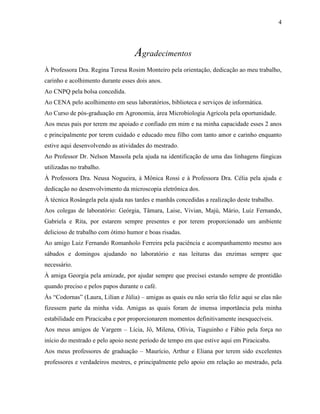 4
Agradecimentos
À Professora Dra. Regina Teresa Rosim Monteiro pela orientação, dedicação ao meu trabalho,
carinho e acolhimento durante esses dois anos.
Ao CNPQ pela bolsa concedida.
Ao CENA pelo acolhimento em seus laboratórios, biblioteca e serviços de informática.
Ao Curso de pós-graduação em Agronomia, área Microbiologia Agrícola pela oportunidade.
Aos meus pais por terem me apoiado e confiado em mim e na minha capacidade esses 2 anos
e principalmente por terem cuidado e educado meu filho com tanto amor e carinho enquanto
estive aqui desenvolvendo as atividades do mestrado.
Ao Professor Dr. Nelson Massola pela ajuda na identificação de uma das linhagens fúngicas
utilizadas no trabalho.
À Professora Dra. Neusa Nogueira, à Mônica Rossi e à Professora Dra. Célia pela ajuda e
dedicação no desenvolvimento da microscopia eletrônica dos.
À técnica Rosângela pela ajuda nas tardes e manhãs concedidas a realização deste trabalho.
Aos colegas de laboratório: Geórgia, Tâmara, Laise, Vivian, Majú, Mário, Luiz Fernando,
Gabriela e Rita, por estarem sempre presentes e por terem proporcionado um ambiente
delicioso de trabalho com ótimo humor e boas risadas.
Ao amigo Luiz Fernando Romanholo Ferreira pela paciência e acompanhamento mesmo aos
sábados e domingos ajudando no laboratório e nas leituras das enzimas sempre que
necessário.
À amiga Georgia pela amizade, por ajudar sempre que precisei estando sempre de prontidão
quando preciso e pelos papos durante o café.
Às “Codornas” (Laura, Lilian e Júlia) – amigas as quais eu não seria tão feliz aqui se elas não
fizessem parte da minha vida. Amigas as quais foram de imensa importância pela minha
estabilidade em Piracicaba e por proporcionarem momentos definitivamente inesquecíveis.
Aos meus amigos de Vargem – Lícia, Jô, Milena, Olívia, Tiaguinho e Fábio pela força no
início do mestrado e pelo apoio neste período de tempo em que estive aqui em Piracicaba.
Aos meus professores de graduação – Maurício, Arthur e Eliana por terem sido excelentes
professores e verdadeiros mestres, e principalmente pelo apoio em relação ao mestrado, pela
 