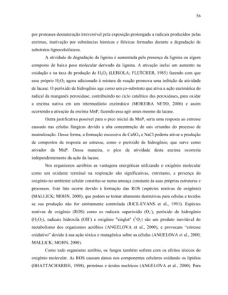 56
por proteases desnaturação irreversível pela exposição prolongada a radicais produzidos pelas
enzimas, inativação por substâncias húmicas e fúlvicas formadas durante a degradação de
substratos lignocelulósicos.
A atividade de degradação da lignina é aumentada pela presença da lignina ou algum
composto de baixo peso molecular derivado da lignina. A ativação inclui um aumento na
oxidação e na taxa de produção de H2O2 (LEISOLA; FLETCHER, 1985) fazendo com que
esse próprio H2O2 agora adicionado à mistura de reação promova uma inibição da atividade
de lacase. O peróxido de hidrogênio age como um co-substrato que ativa a ação enzimática do
radical da manganês peroxidase, contribuindo no ciclo catalítico das peroxidases, para oxidar
a enzima nativa em um intermediário enzimático (MOREIRA NETO, 2006) e assim
ocorrendo a ativação da enzima MnP, fazendo essa agir antes mesmo da lacase.
Outra justificativa possível para o pico inicial da MnP, seria uma resposta ao estresse
causado nas células fúngicas devido a alta concentração de sais oriundas do processo de
neutralização. Dessa forma, a formação excessiva de CaSO4 e NaCl poderia ativar a produção
de compostos de resposta ao estresse, como o peróxido de hidrogênio, que serve como
ativador da MnP. Dessa maneira, o pico de atividade desta enzima ocorreria
independentemente da ação da lacase.
Nos organismos aeróbios as vantagens energéticas utilizando o oxigênio molecular
como um oxidante terminal na respiração são significativas, entretanto, a presença do
oxigênio no ambiente celular constitui-se numa ameaça constante às suas próprias estruturas e
processos. Este fato ocorre devido à formação das ROS (espécies reativas de oxigênio)
(MALLICK; MOHN, 2000), que podem se tornar altamente destrutivas para células e tecidos
se sua produção não for estritamente controlada (RICE-EVANS et al., 1991). Espécies
reativas de oxigênio (ROS) como os radicais superóxido (O2
-
), peróxido de hidrogênio
(H2O2), radicais hidroxila (OH-
) e oxigênio "singlet" (1
O2) são um produto inevitável do
metabolismo dos organismos aeróbios (ANGELOVA et al., 2000), e provocam “estresse
oxidativo” devido à sua ação tóxica e mutagênica sobre as células (ANGELOVA et al., 2000;
MALLICK; MOHN, 2000).
Como todo organismo aeróbio, os fungos também sofrem com os efeitos tóxicos do
oxigênio molecular. As ROS causam danos nos componentes celulares oxidando os lipídios
(BHATTACHARJEE, 1998), proteínas e ácidos nucléicos (ANGELOVA et al., 2000). Para
 