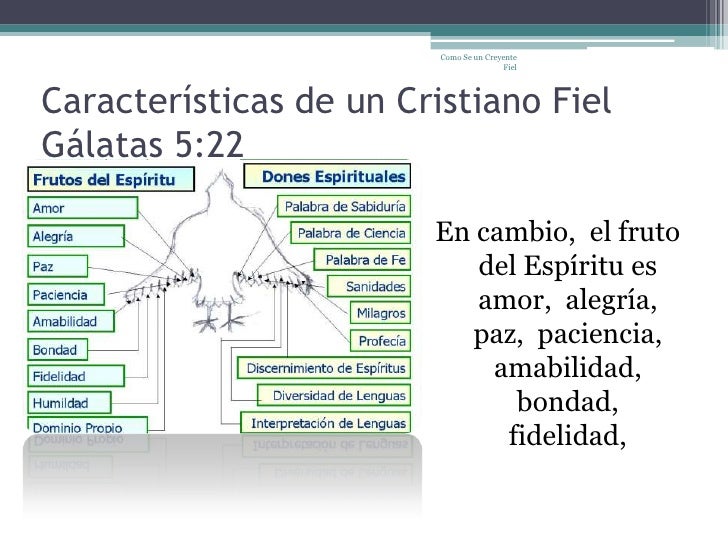 Caracteristicas De Un Cristiano Segun La Biblia