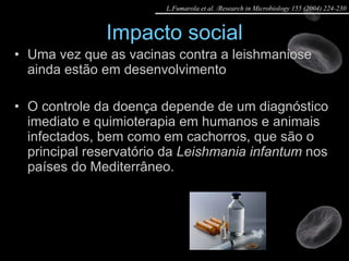 Impacto social Uma vez que as vacinas contra a leishmaniose ainda estão em desenvolvimento O controle da doença depende de um diagnóstico imediato e quimioterapia em humanos e animais infectados, bem como em cachorros, que são o principal reservatório da  Leishmania infantum  nos países do Mediterrâneo. L.Fumarola et al. /Research in Microbiology 155 (2004) 224-230 