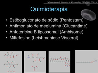 Quimioterapia Estibogluconato de sódio (Pentostam) Antimoniato de meglumina (Glucantime) Anfotericina B lipossomal (Ambisome) Miltefosine (Leishmaniose Visceral) L.Fumarola et al. /Research in Microbiology 155 (2004) 224-230 