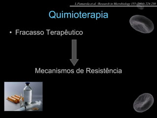 Quimioterapia Fracasso Terapêutico Mecanismos de Resistência L.Fumarola et al. /Research in Microbiology 155 (2004) 224-230 