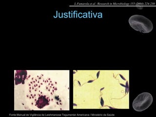 Justificativa Por isso, diversos ensaios para testar novos medicamentos in vitro têm sido desenvolvidos usando dois estágios das  Leishmanias : Promastigotas Amastigotas Fonte:Manual de Vigilância da Leishmaniose Tegumentar Americana / Ministério da Saúde L.Fumarola et al. /Research in Microbiology 155 (2004) 224-230 