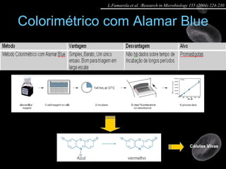Colorimétrico com Alamar Blue Azul  vermelho Células Vivas L.Fumarola et al. /Research in Microbiology 155 (2004) 224-230 