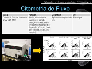Citometria de Fluxo  L.Fumarola et al. /Research in Microbiology 155 (2004) 224-230 