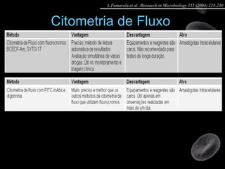 Citometria de Fluxo  L.Fumarola et al. /Research in Microbiology 155 (2004) 224-230 