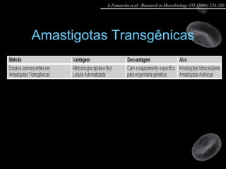 Amastigotas Transgênicas L.Fumarola et al. /Research in Microbiology 155 (2004) 224-230 
